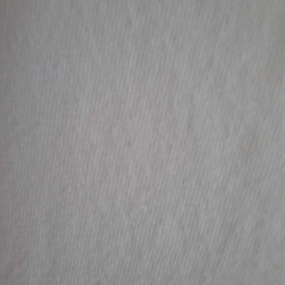 Reef T-Shirt Men's Size M Off White‎ Short Sleeve Crew Neck California Surf